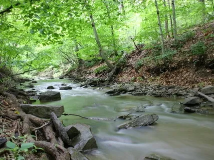May Morning By The Creek