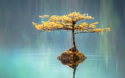 May Others Be Well (Powerful Healing)