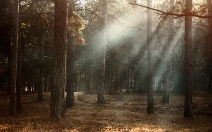 May Relaxation: The Love We Are Made Of