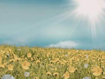 May Tao Energy - Earth