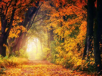 May You Be Happy - Peaceful Harp & Violin