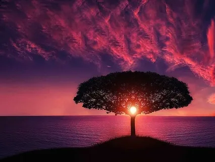 May You Find Peace - Calming Harp And Violin