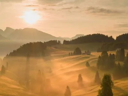 Maybe So, Letting Life Unfold: A Taoist Story For Reflection