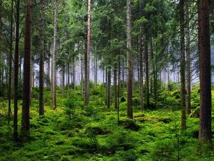 Maybe The World Is Loud Because It’s Afraid Of The Silence