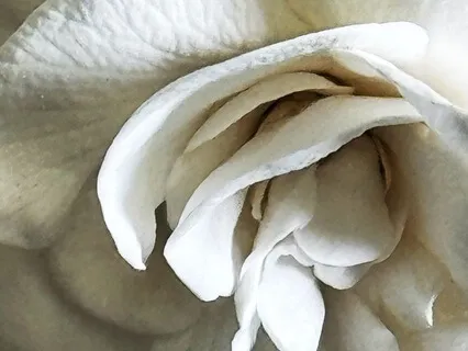 Mary's Messages Of Love