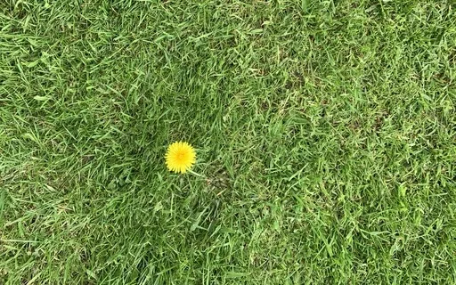 MB 11 Meditation On The Nature Of Nirvana