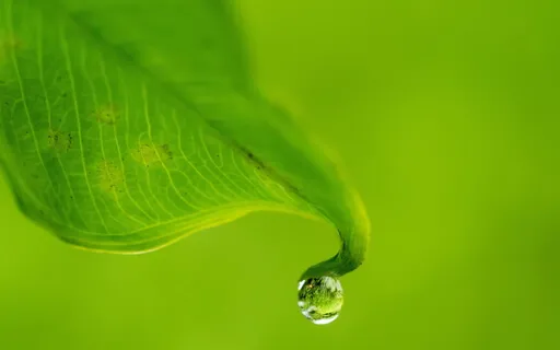 MB 21 Meditative Reflection On Impermanence