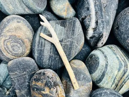 Mindfulness-Based Body Scan