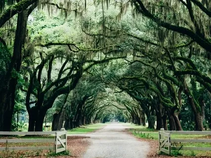 Body Scan (Shorter MBSR Practice)