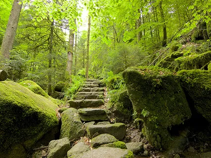 MBSR Choiceless Awareness