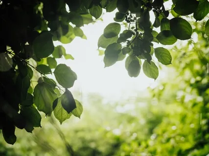 MBSR Breathing Space