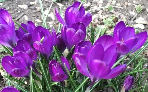 MBSR: Lying Down Mindful Movement