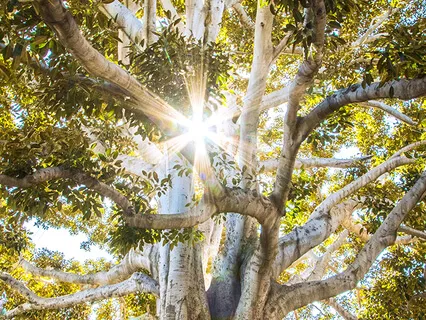 MBSR - Mindful BodyScan