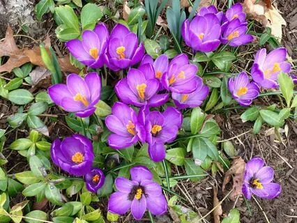MBSR Mindful Movement Standing Practice