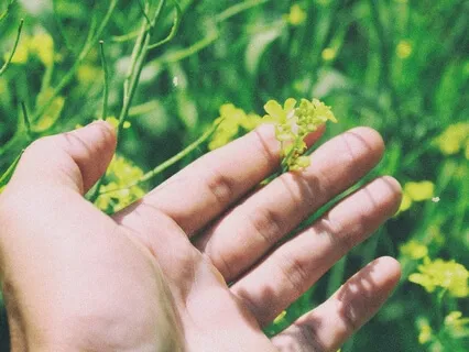 MBSR Mindful yoga liggende