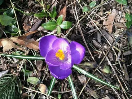 MBSR Mindful Yoga Movement For Floor