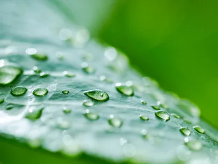 (MBSR) Shorter Body Scan