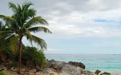 MBSR - Standing Mindful Movement