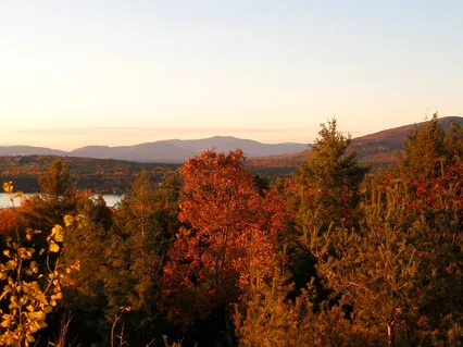 MBSR Standing Yoga - Trauma Informed