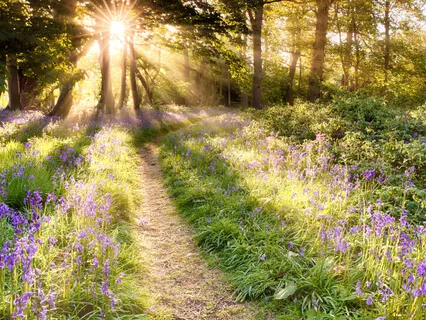 MBSR Yoga Standing Series