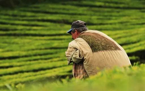 מדיטציה להקלה (כשכבד מדי)