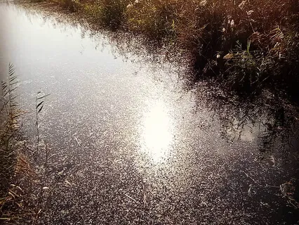 מדיטציה של קשב לנשימה - רגיעה וריכוז