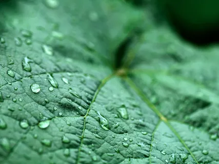 מדיטצית מיינדפולנס - תשומת לב לנשימה - 10 דקות