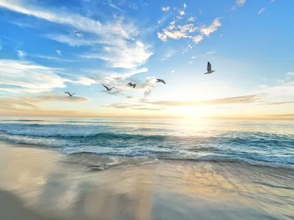 מדיטציית מיינדפולנס סריקת גוף, נשימה והרגשה