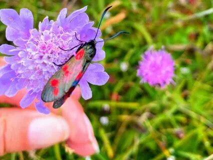 Meaningful Connection Meditation With Music