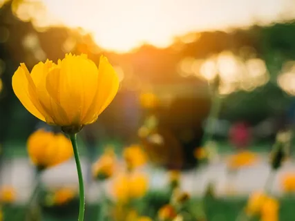 Meaningful Morning Meditation