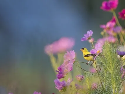 Measuring Your Meditation Progress