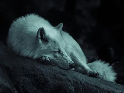 MECFS Crash: Acknowledging The Body’s Protective Mechanisms