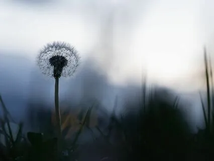 Meditation For Grief And Loss