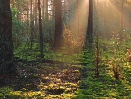 Mediation From Four Ways To Be Still In Difficult Moments