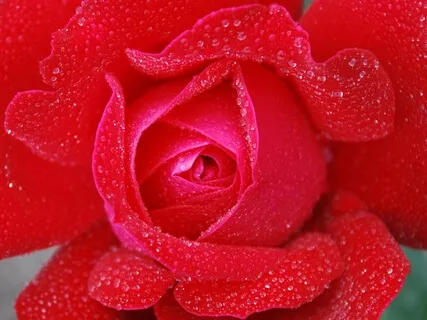 Mediation To Recharge Your Peace battery