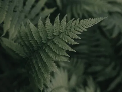 Medical Appointment Calming Meditation