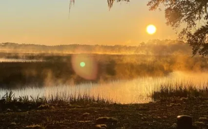 Medicine For The Heart