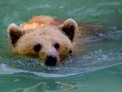 Medicine For The Nervous System | Bliss Remix | Calm Safety