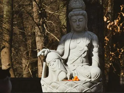 Medicine for the Nervous System - Bliss Remix - Compassion