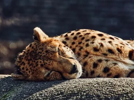 Medicine For The Nervous System | Bliss Remix | Hymn 528hz