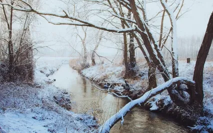 Medicine For The Nervous System (Sounding The Vagus Nerve)