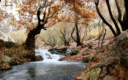 Medicine For The Nervous System - Unwinding The Spine