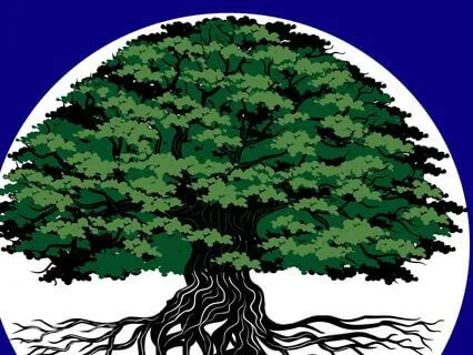 Medicine Tree Journey