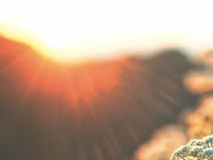 Medicine Wheel Activation - The East (Sun)