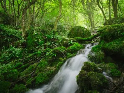 Medicine Woman Healing - Lullaby For Your Nervous System