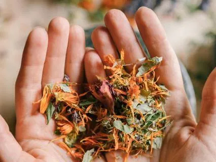 Medicine Woman Wild Woman Guided Archetype Meditation