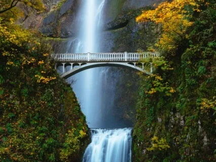 Medictació Salut Perfecta en Català