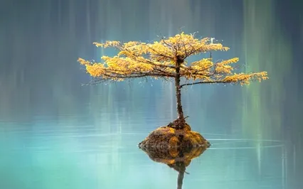 Medita Calming Waves