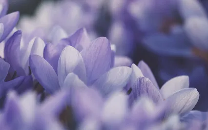 Meditaatio päivän päätteeksi