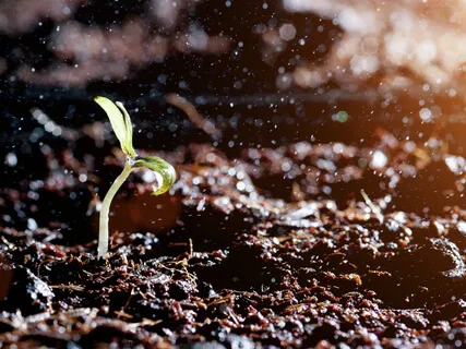 Meditação dos 4 Elementos